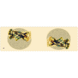 رانر مخمل حیرت جامی